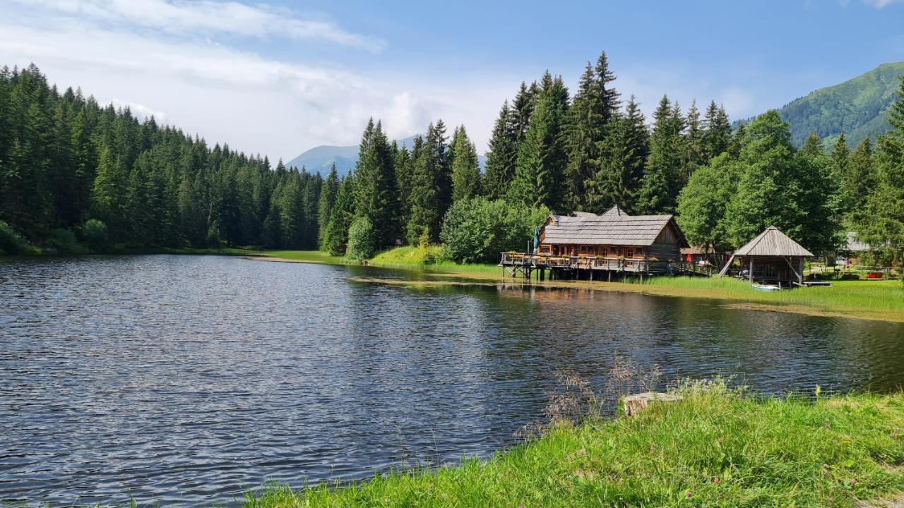 Haus Emmy - Urlaub Bei Freunden Villa Hohentauern Eksteriør billede