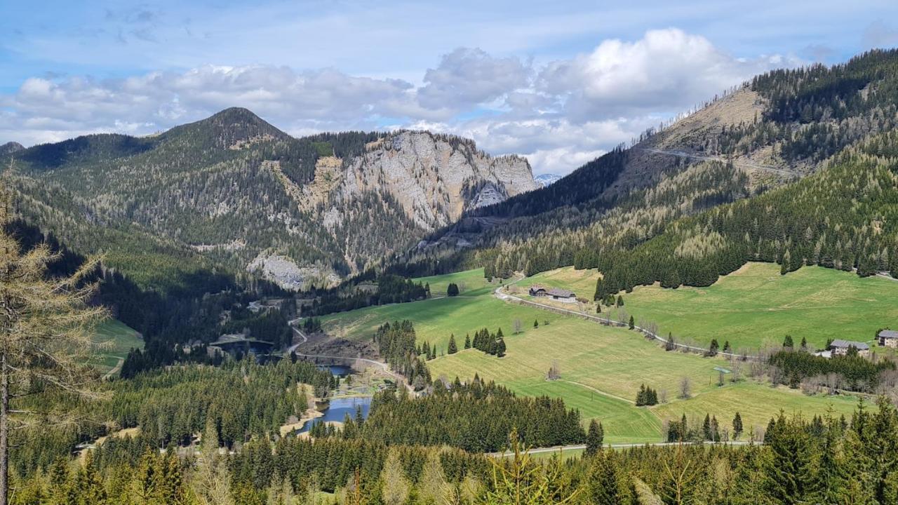 Haus Emmy - Urlaub Bei Freunden Villa Hohentauern Eksteriør billede